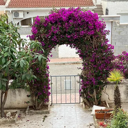 Casita Nicoline Quesada Gem